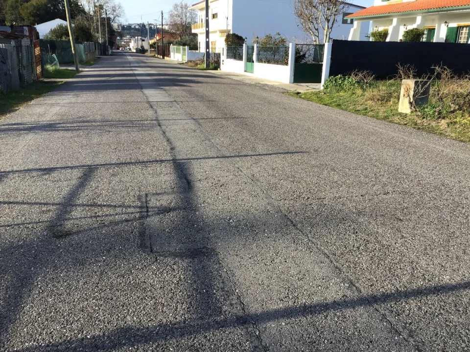 Terreno para Venda em São Miguel do Rio Torto e Rossio Ao Sul do Tejo Foto 5