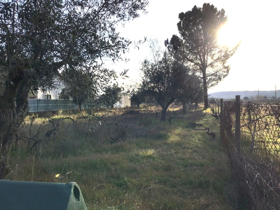 Terreno para Venda em São Miguel do Rio Torto e Rossio Ao Sul do Tejo Foto 6