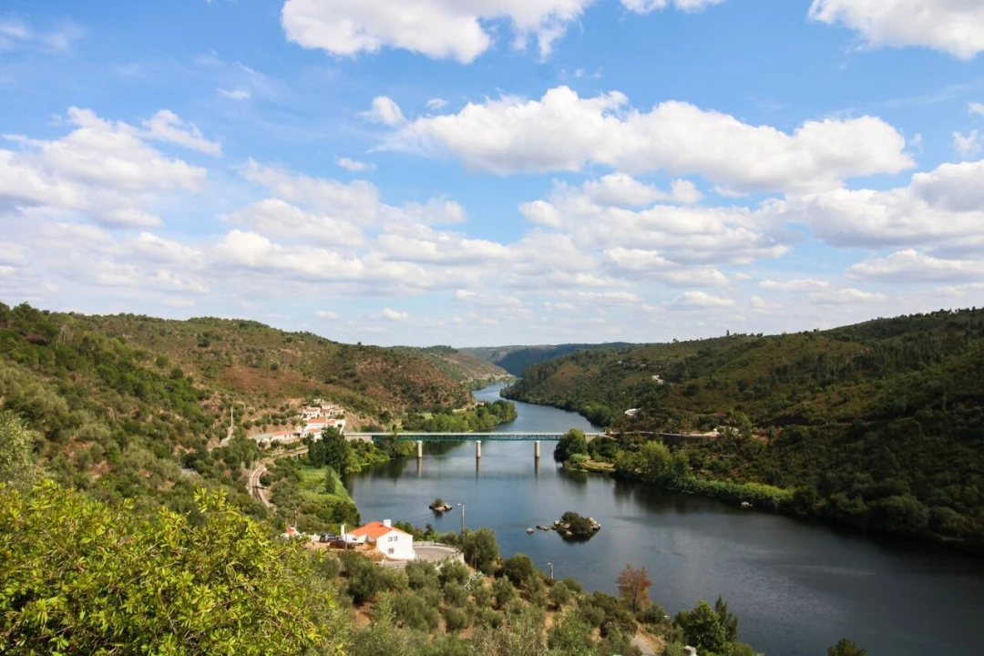 Moradia T2 para Venda em Alvega e Concavada Foto 3