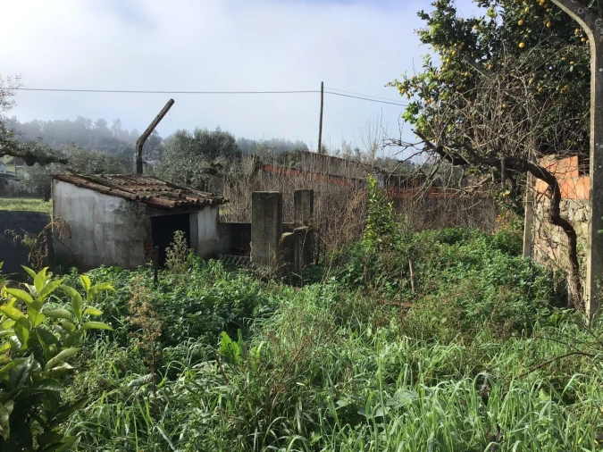 Moradia T2 para Venda em Alvega e Concavada Foto 12