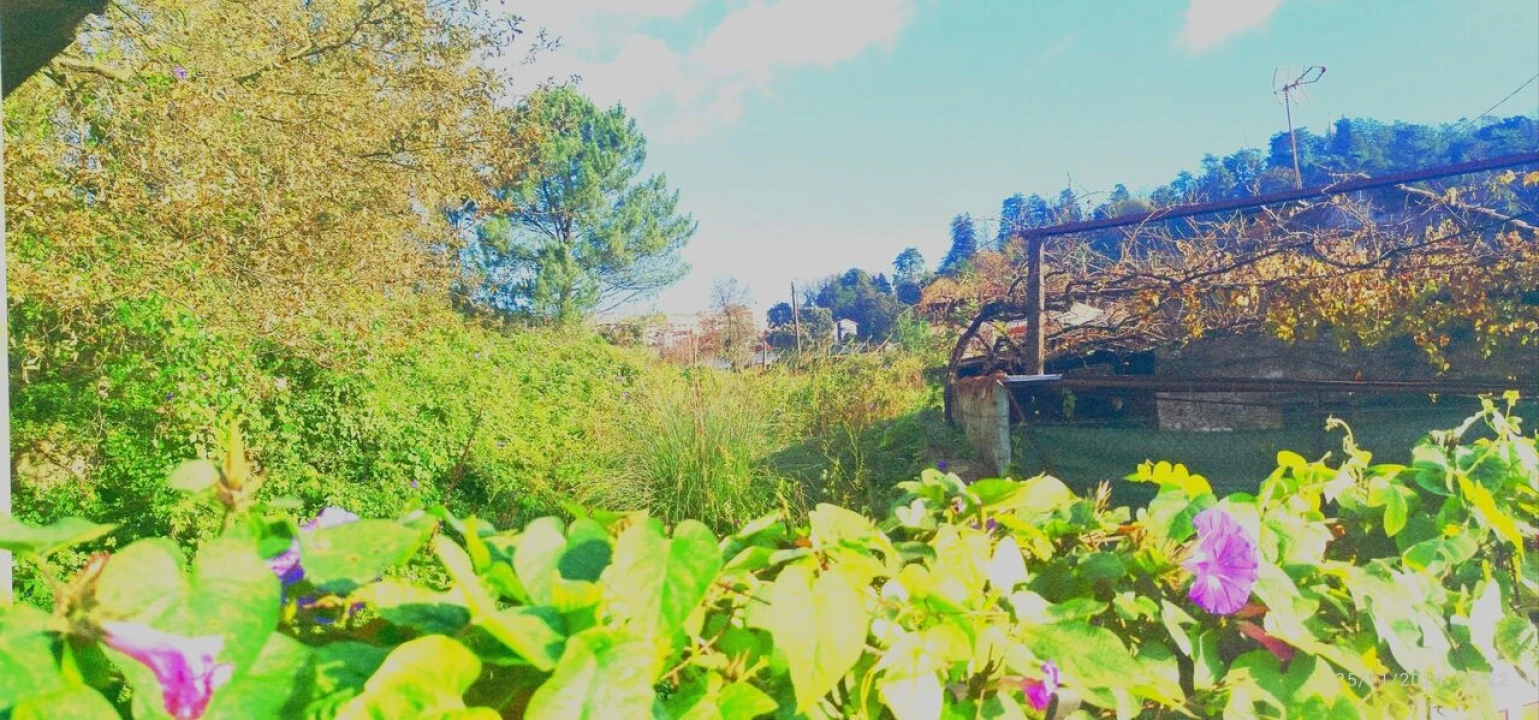Terreno para Venda em O. Azeméis, Riba-Ul, Ul, Macinhata Seixa, Madail Foto 6