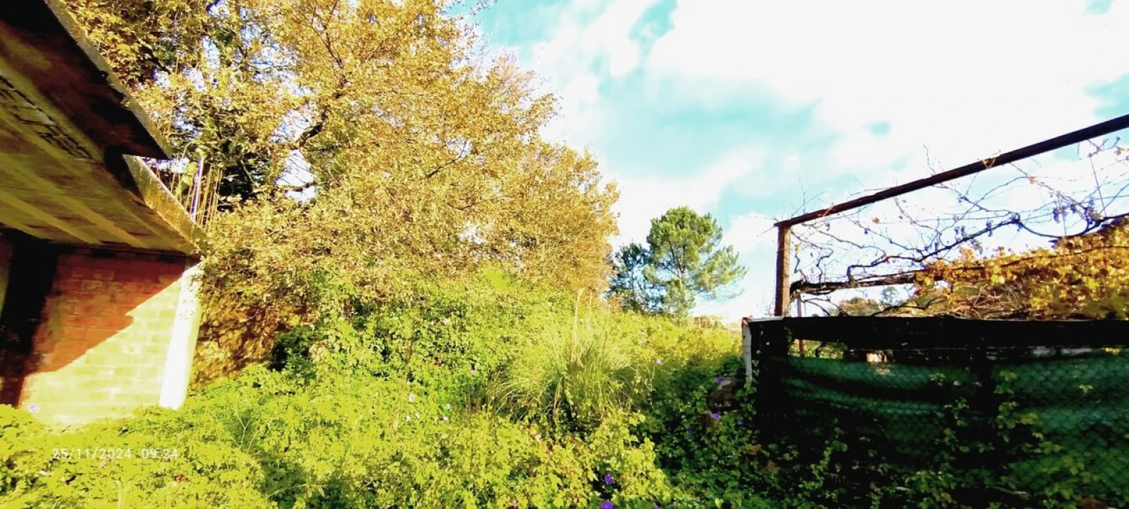 Terreno para Venda em O. Azeméis, Riba-Ul, Ul, Macinhata Seixa, Madail Foto 3