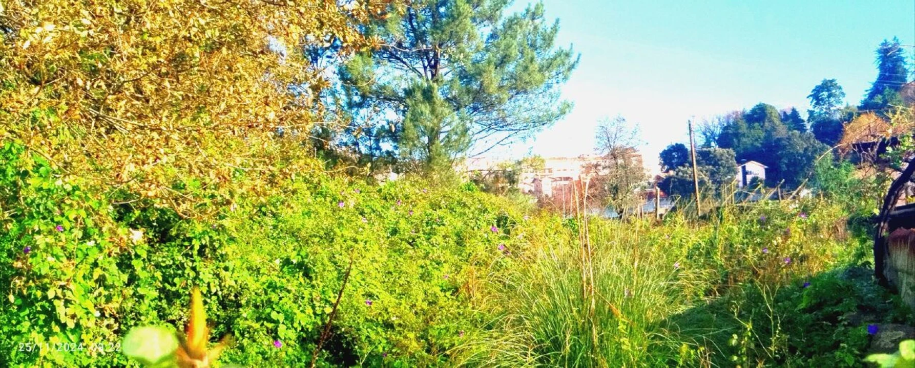 Terreno para Venda em O. Azeméis, Riba-Ul, Ul, Macinhata Seixa, Madail Foto 4