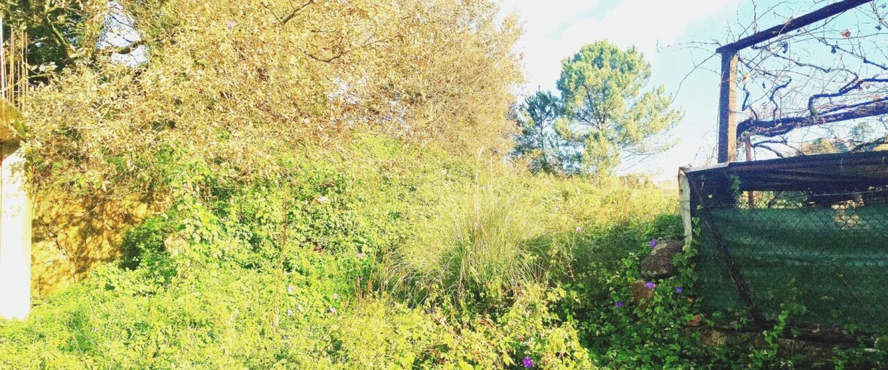 Terreno para Venda em O. Azeméis, Riba-Ul, Ul, Macinhata Seixa, Madail Foto 5