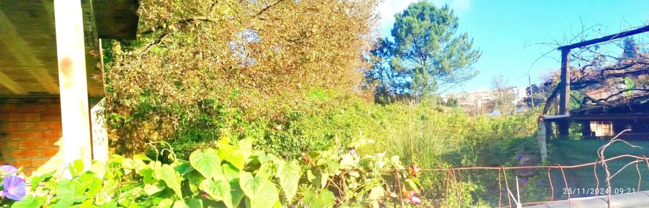 Terreno para Venda em O. Azeméis, Riba-Ul, Ul, Macinhata Seixa, Madail Foto 8