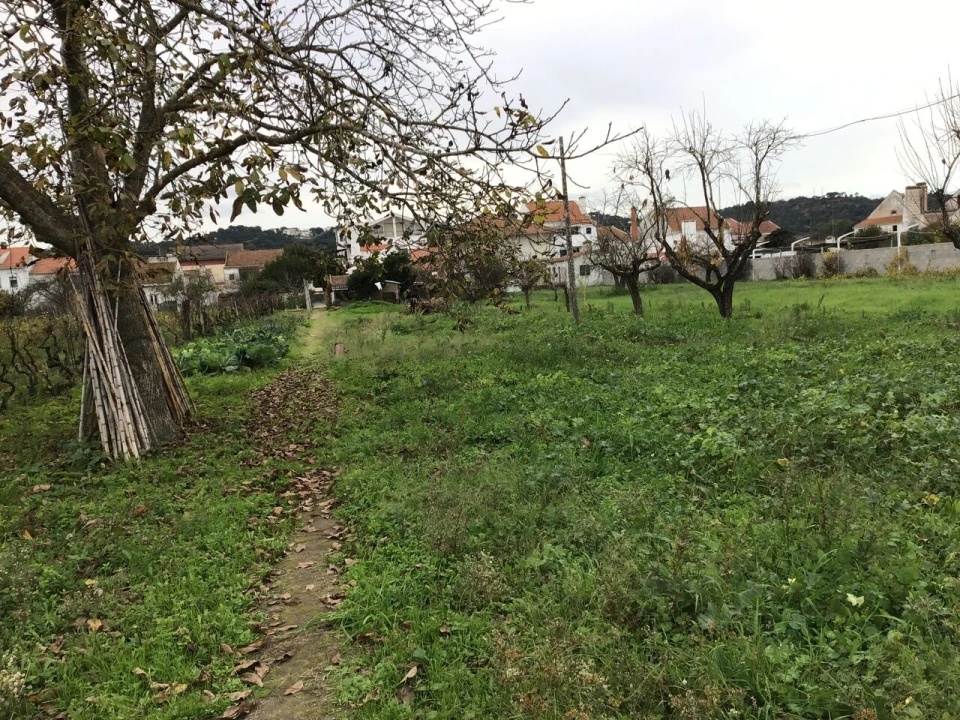 Prédio para Venda em São Miguel do Rio Torto e Rossio Ao Sul do Tejo Foto 6