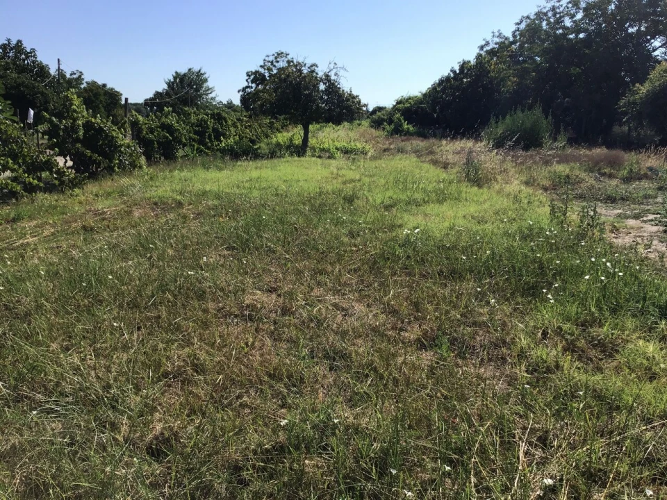 Prédio para Venda em São Miguel do Rio Torto e Rossio Ao Sul do Tejo Foto 7