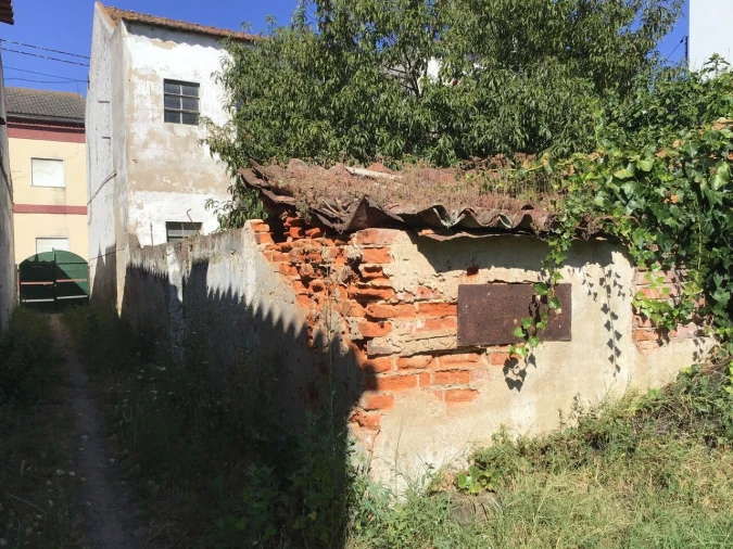 Prédio para Venda em São Miguel do Rio Torto e Rossio Ao Sul do Tejo Foto 3