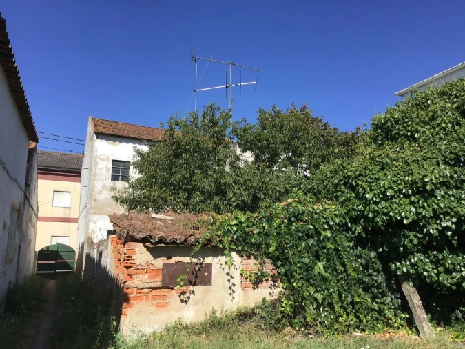 Prédio para Venda em São Miguel do Rio Torto e Rossio Ao Sul do Tejo Foto 4