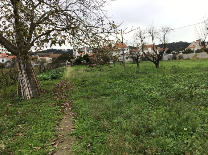 Prédio para Venda em São Miguel do Rio Torto e Rossio Ao Sul do Tejo Foto 6