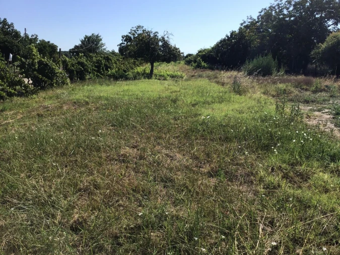Prédio para Venda em São Miguel do Rio Torto e Rossio Ao Sul do Tejo Foto 8