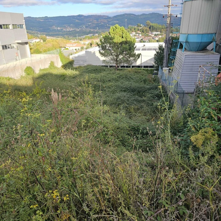 Terreno para Venda em Selho São Lourenço e Gominhães Foto 8