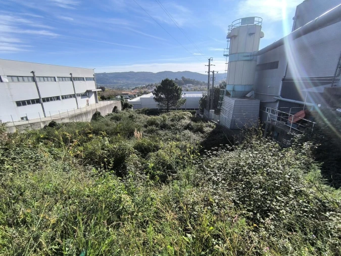 Terreno para Venda em Selho São Lourenço e Gominhães Foto 4
