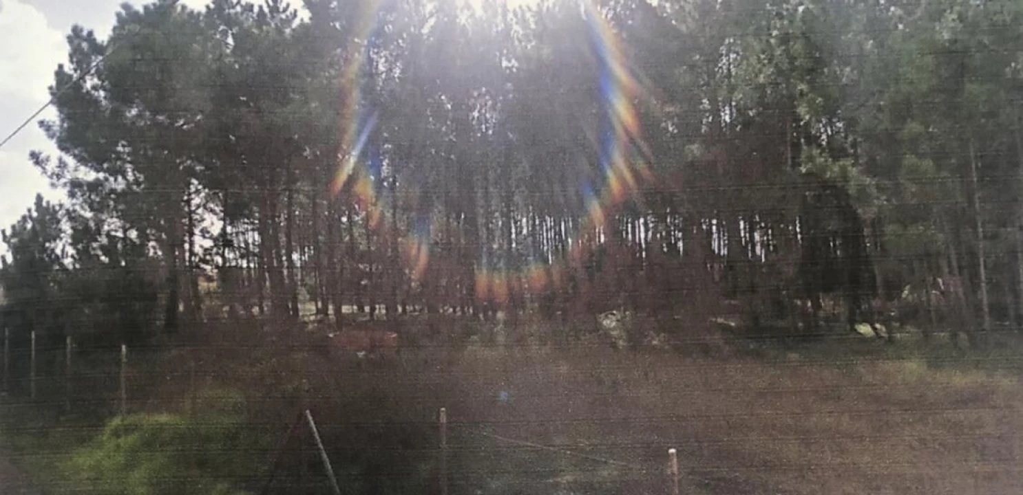 Terreno para Venda em Pataias e Martingança Foto 1