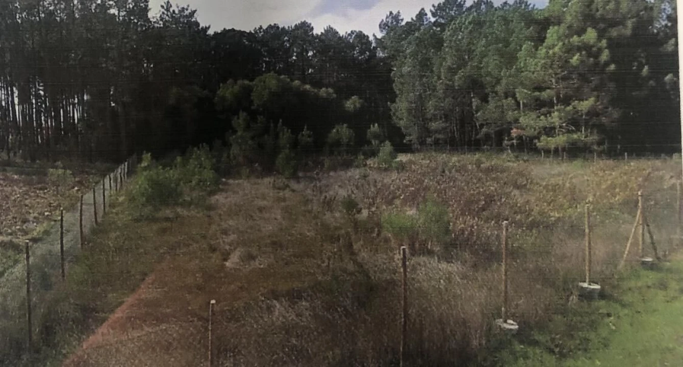 Terreno para Venda em Pataias e Martingança Foto 4