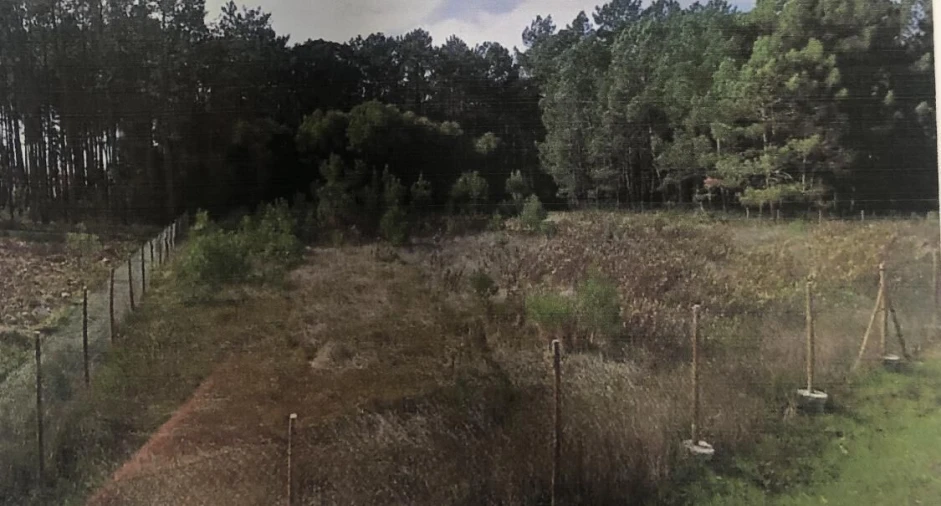 Terreno para Venda em Pataias e Martingança Foto 4