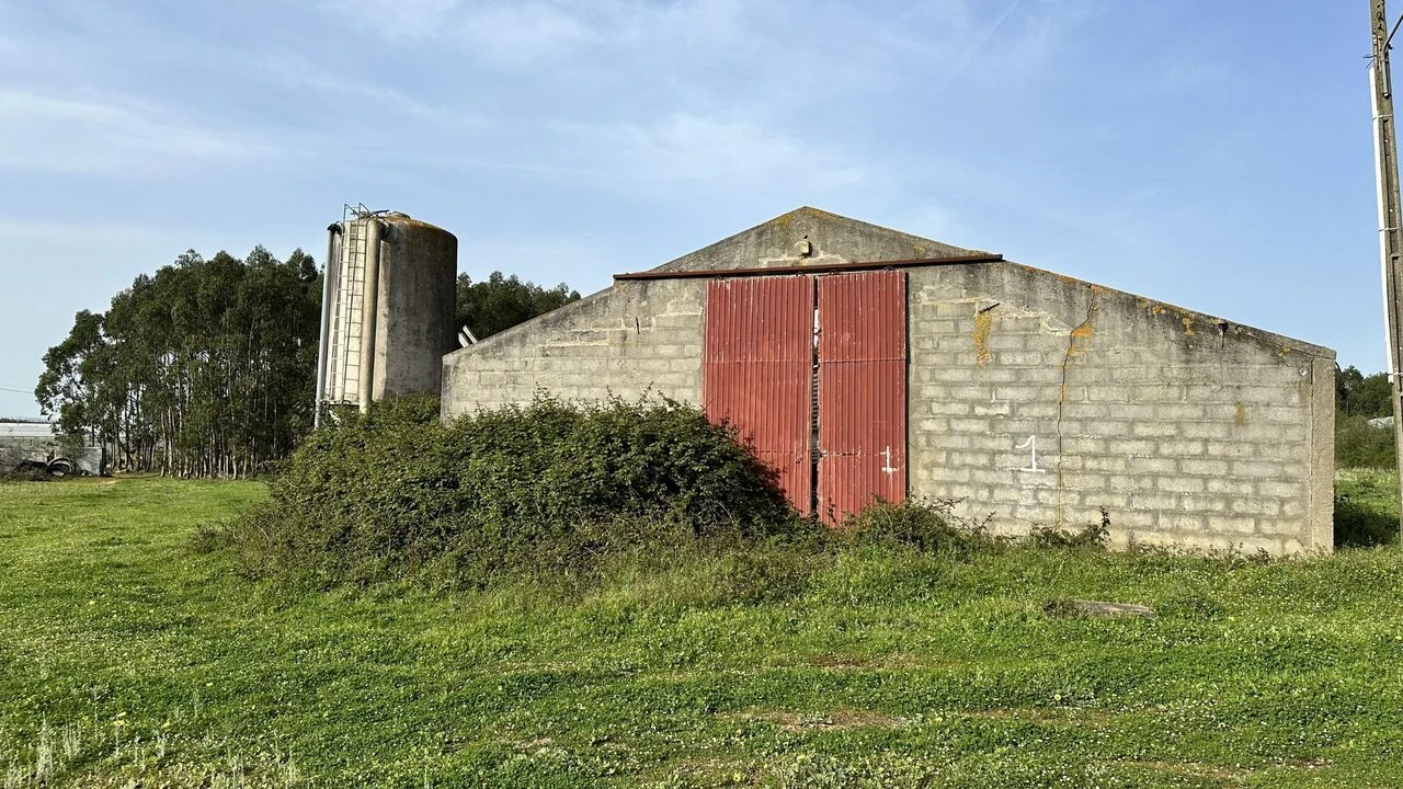 Terreno para Venda em Maxial e Monte Redondo Foto 2