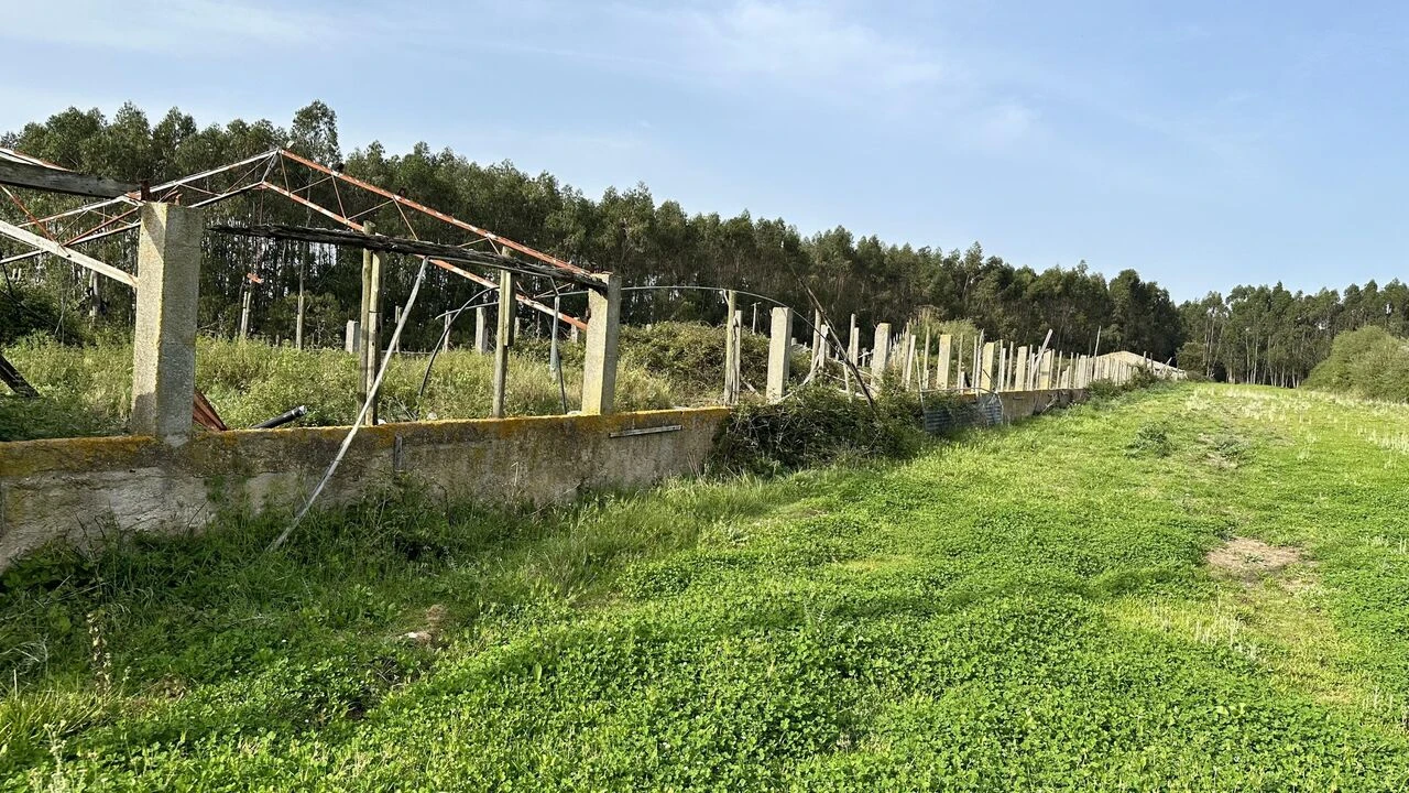 Terreno para Venda em Maxial e Monte Redondo Foto 5