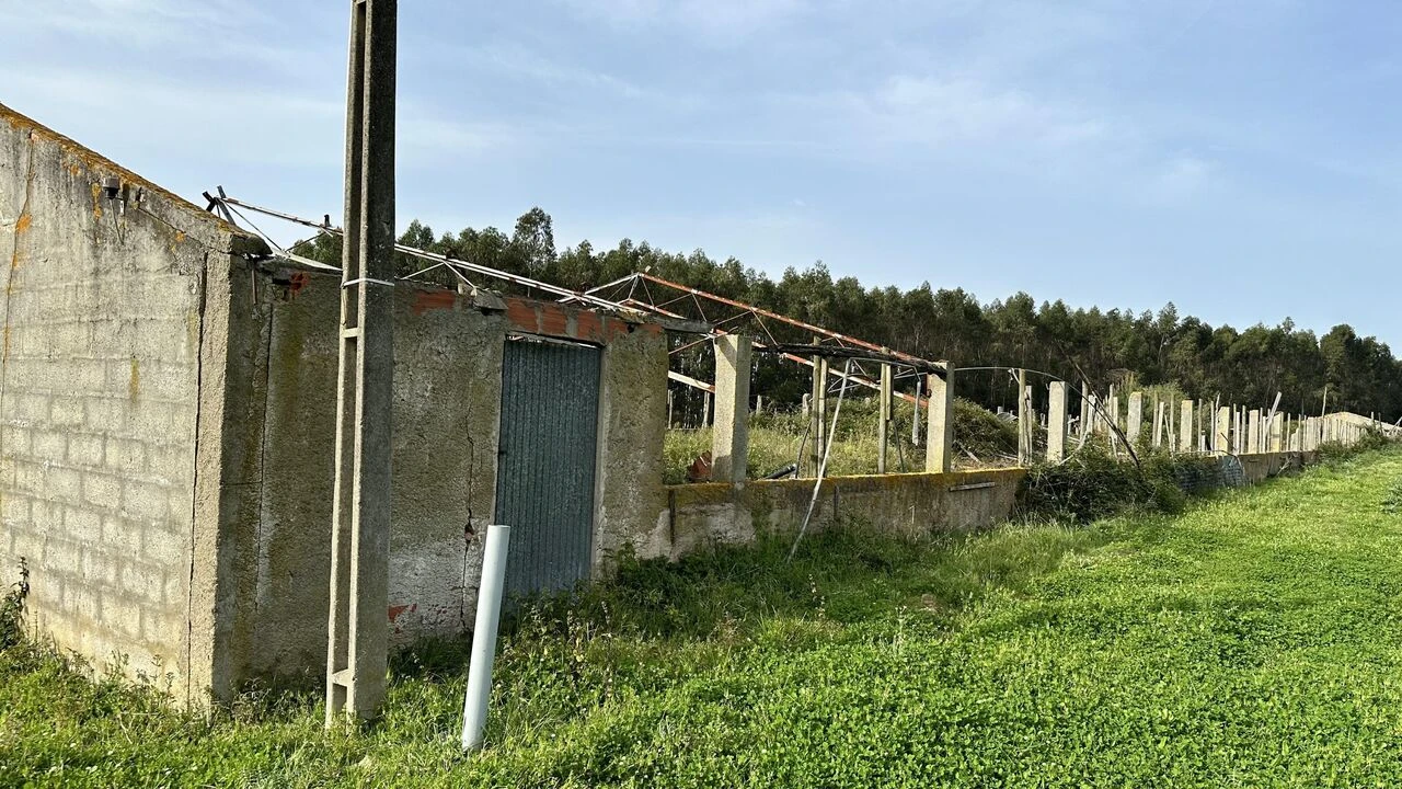 Terreno para Venda em Maxial e Monte Redondo Foto 8