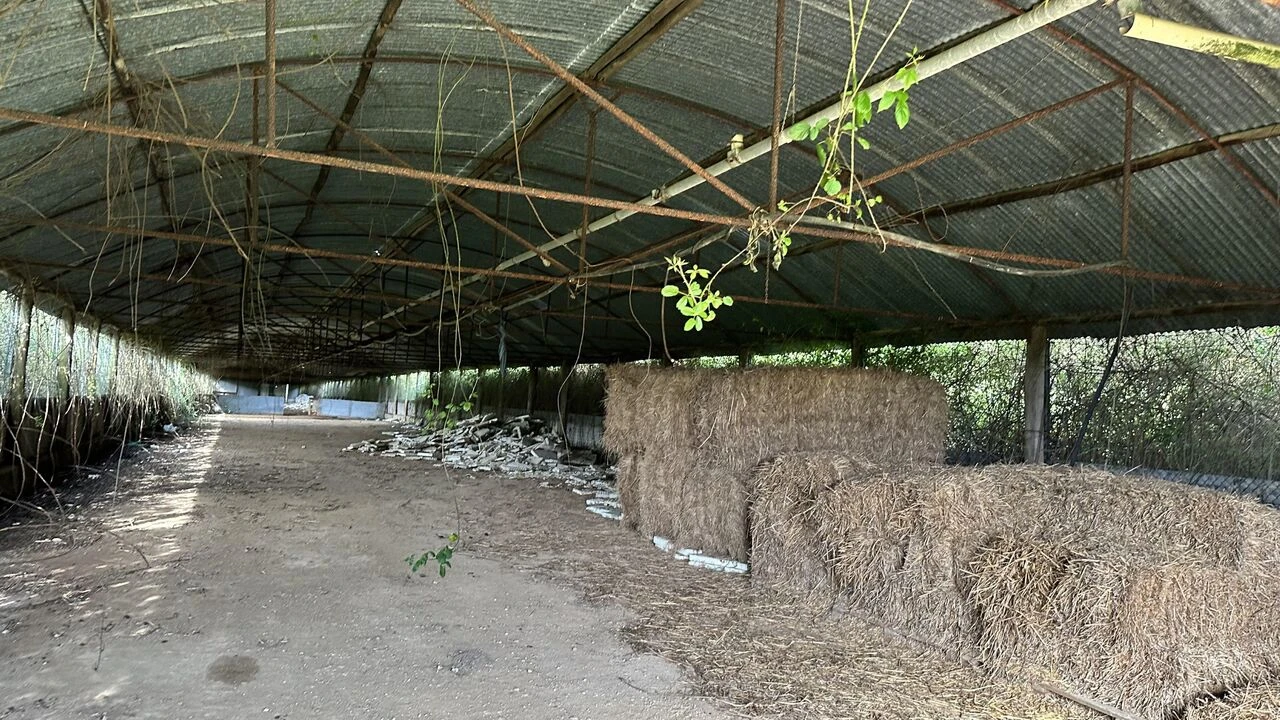 Terreno para Venda em Maxial e Monte Redondo Foto 11