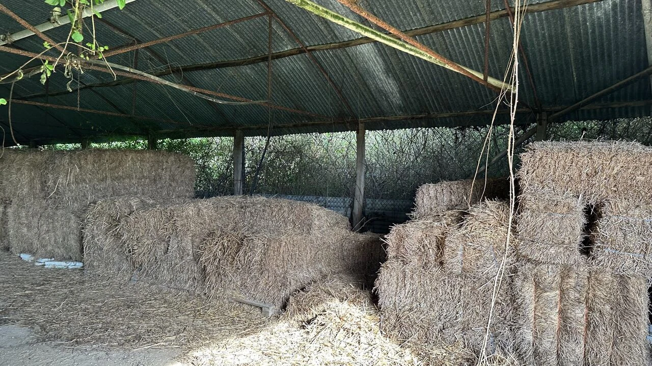Terreno para Venda em Maxial e Monte Redondo Foto 12