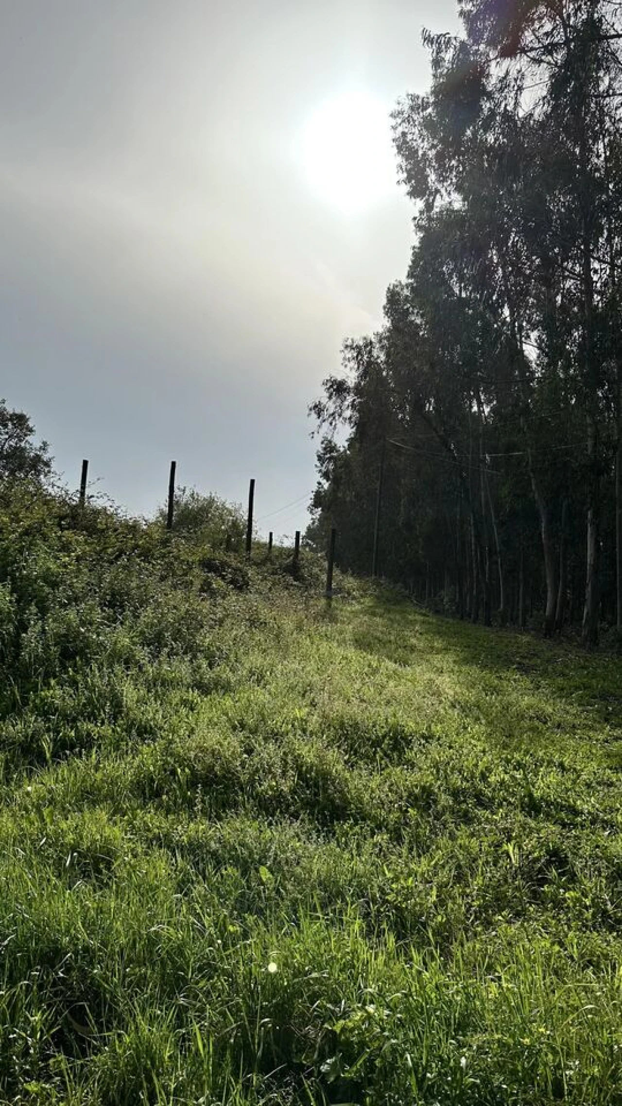 Terreno para Venda em Maxial e Monte Redondo Foto 19