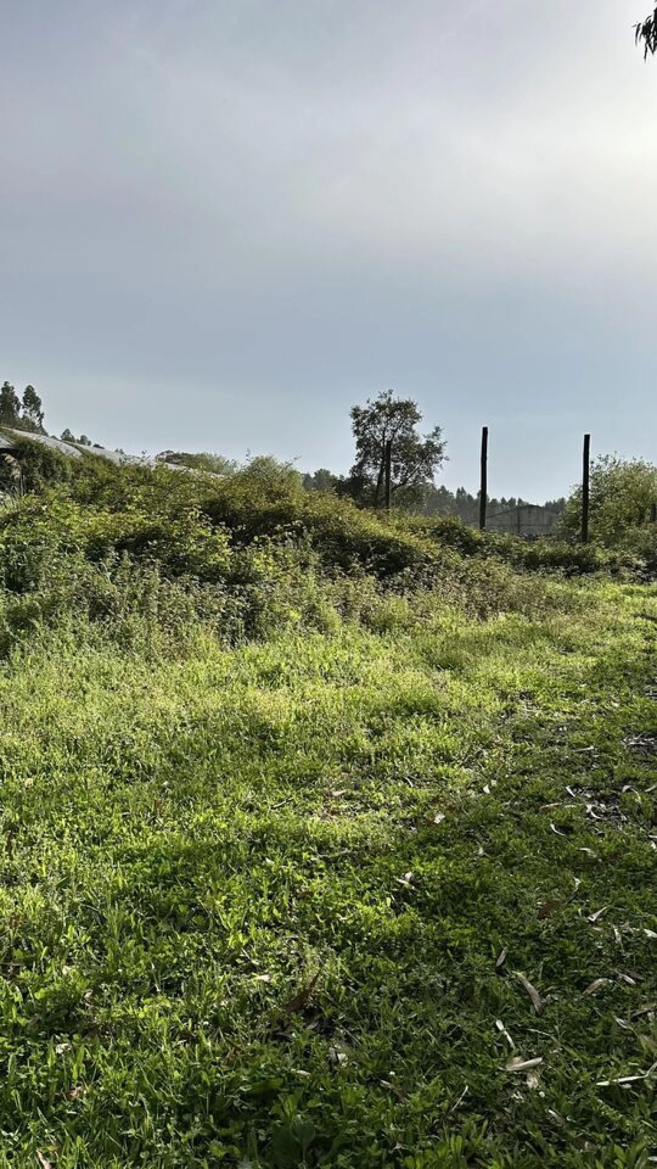 Terreno para Venda em Maxial e Monte Redondo Foto 20