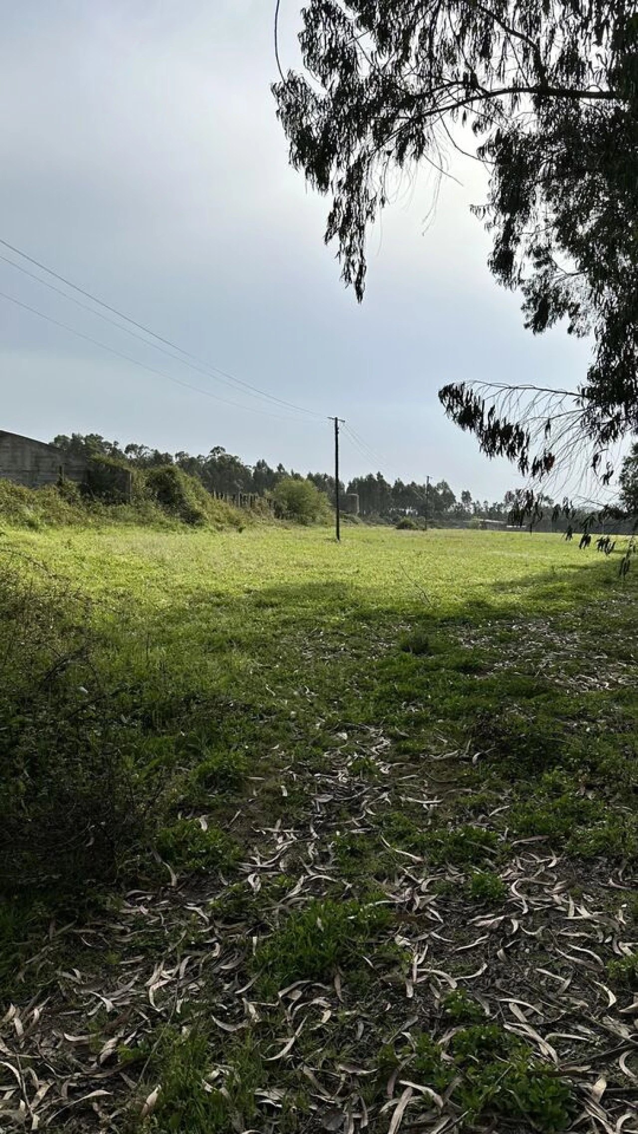 Terreno para Venda em Maxial e Monte Redondo Foto 21
