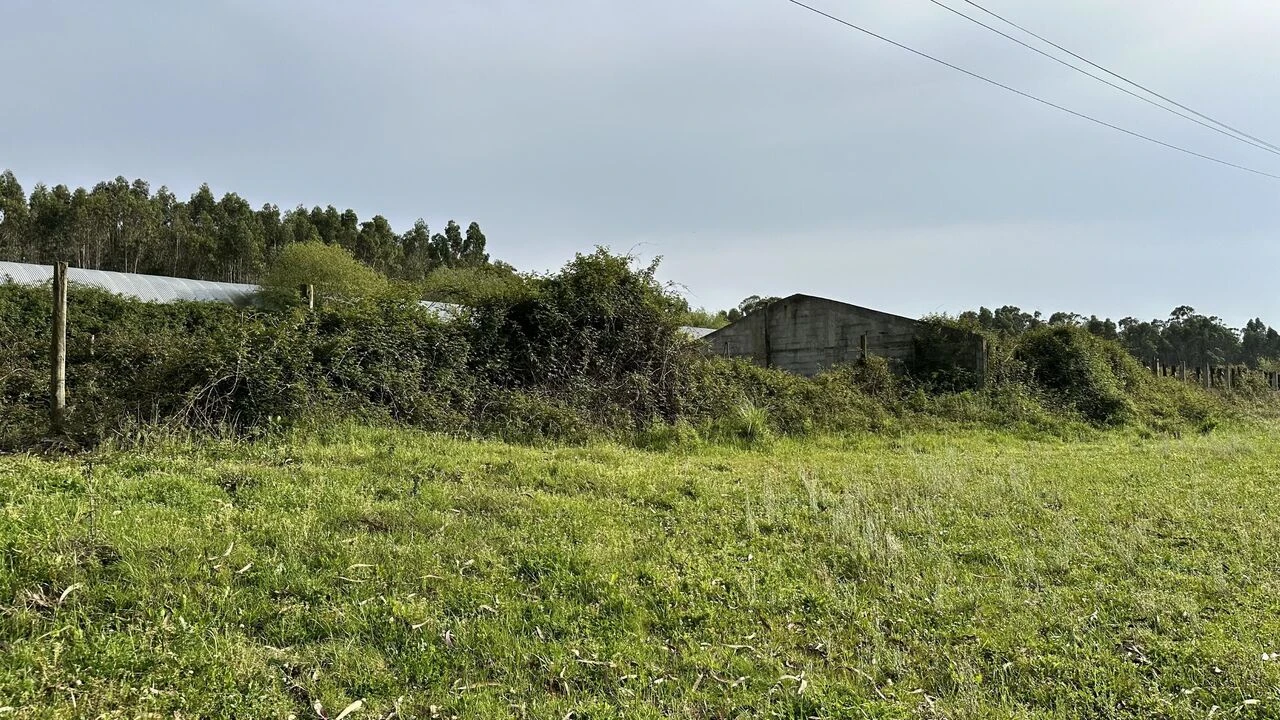 Terreno para Venda em Maxial e Monte Redondo Foto 22