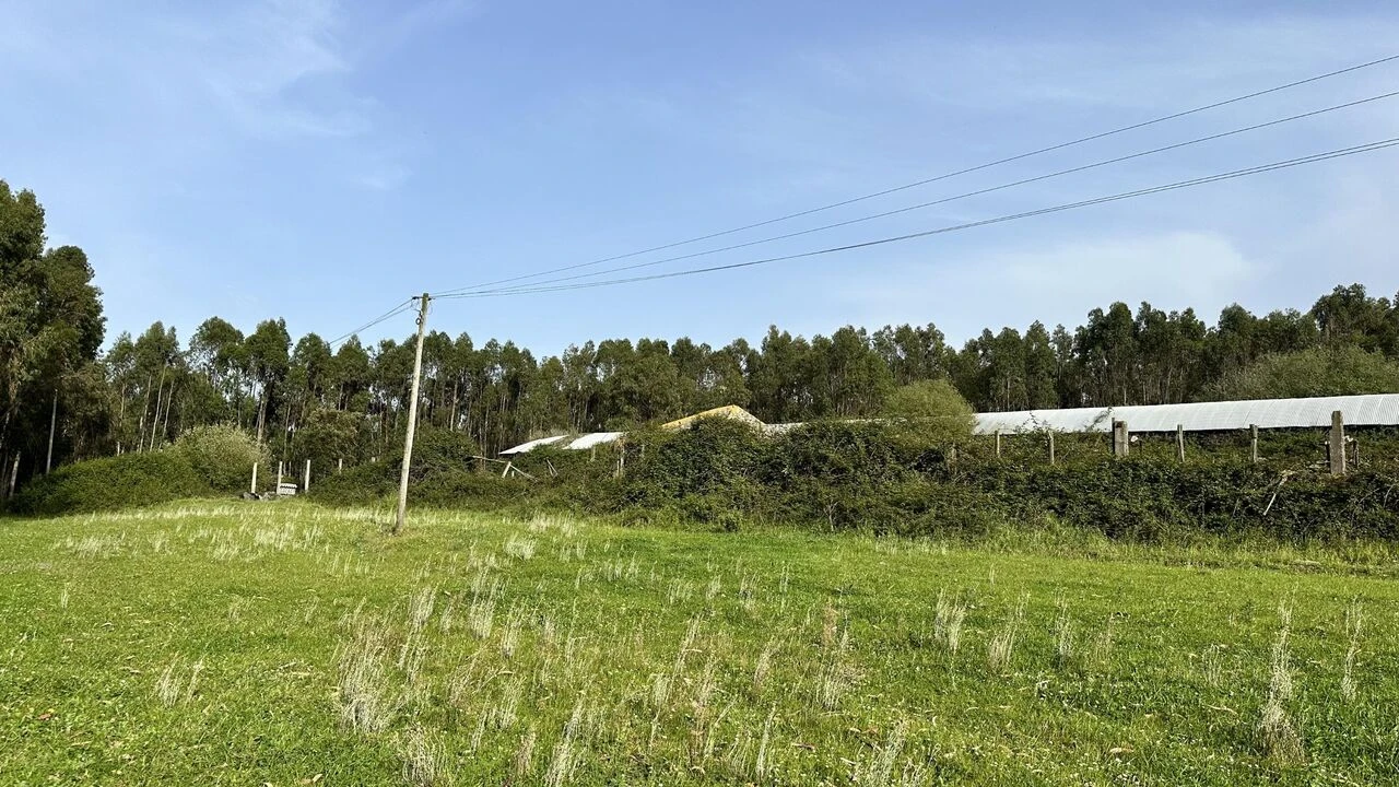 Terreno para Venda em Maxial e Monte Redondo Foto 23