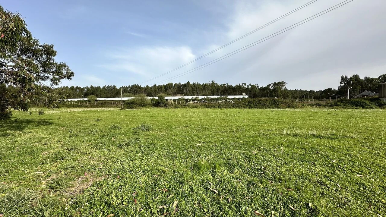 Terreno para Venda em Maxial e Monte Redondo Foto 27