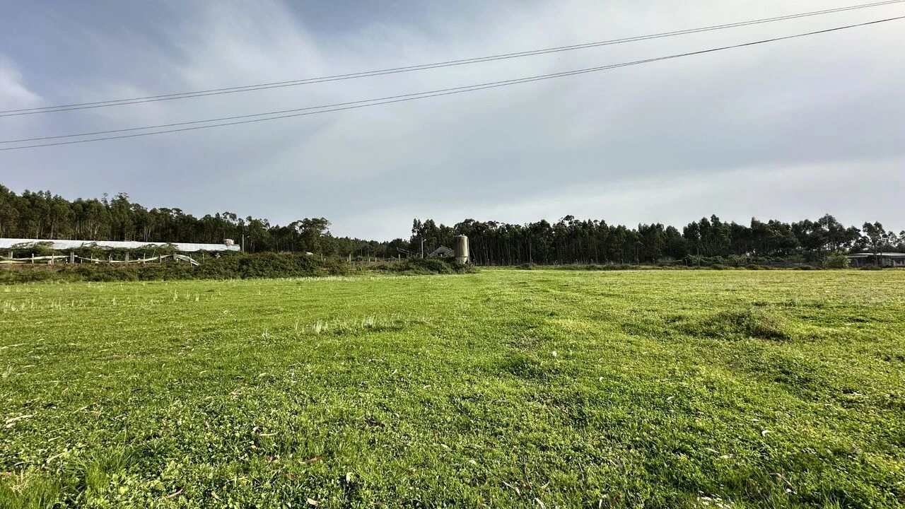 Terreno para Venda em Maxial e Monte Redondo Foto 28
