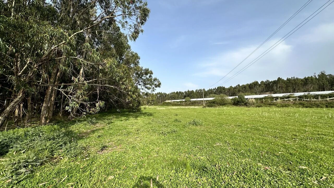 Terreno para Venda em Maxial e Monte Redondo Foto 31