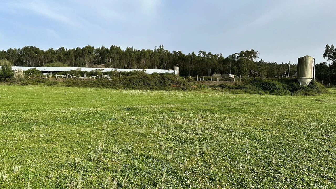 Terreno para Venda em Maxial e Monte Redondo Foto 33