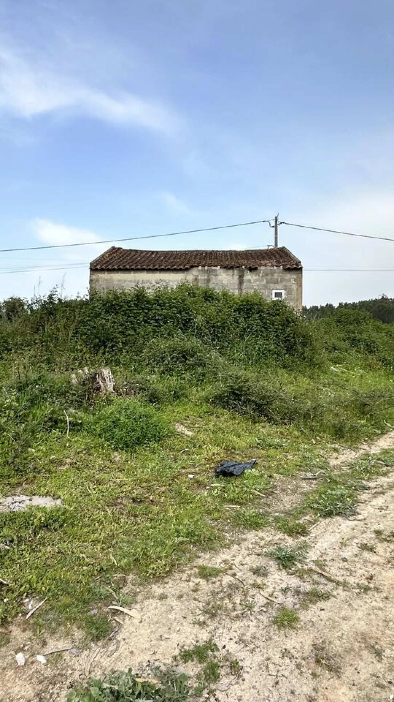 Terreno para Venda em Maxial e Monte Redondo Foto 37