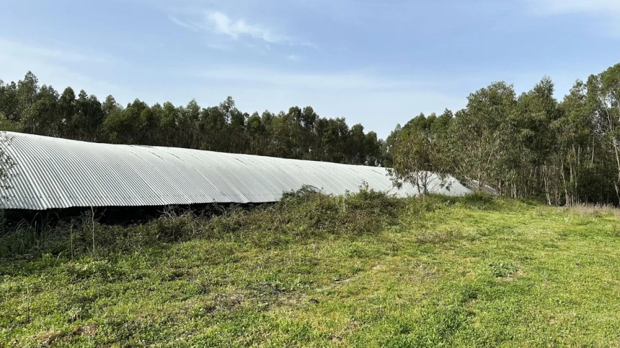 Terreno para Venda em Maxial e Monte Redondo Foto 6
