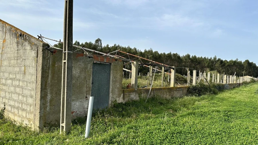 Terreno para Venda em Maxial e Monte Redondo Foto 8