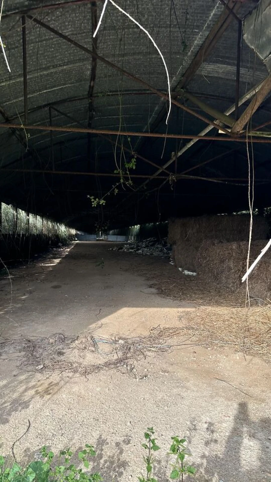 Terreno para Venda em Maxial e Monte Redondo Foto 9