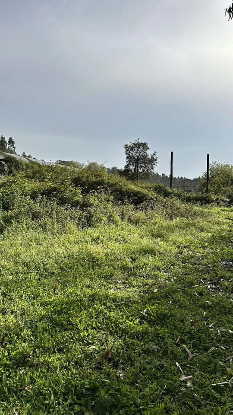 Terreno para Venda em Maxial e Monte Redondo Foto 20