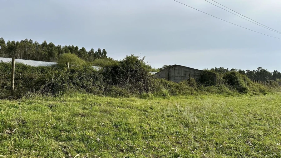 Terreno para Venda em Maxial e Monte Redondo Foto 22