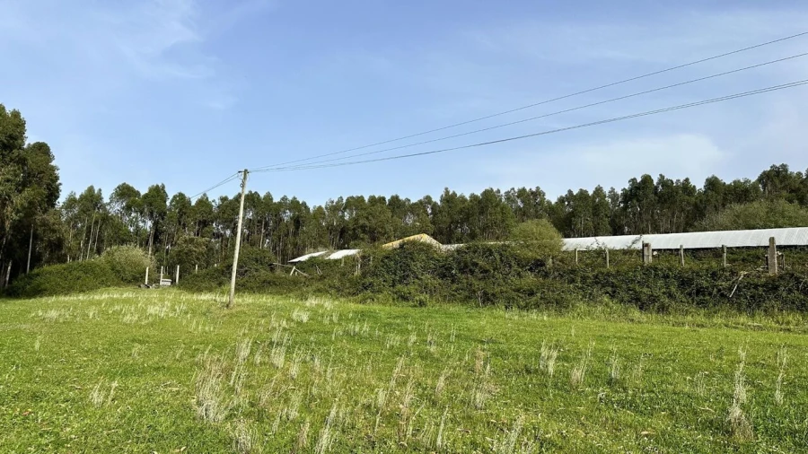 Terreno para Venda em Maxial e Monte Redondo Foto 23
