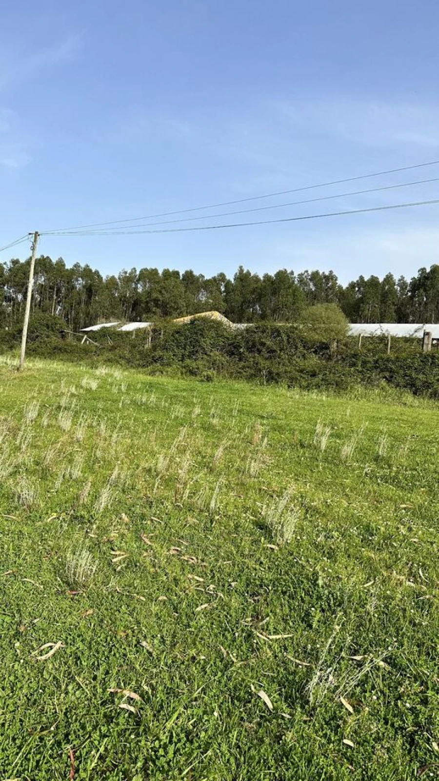 Terreno para Venda em Maxial e Monte Redondo Foto 24
