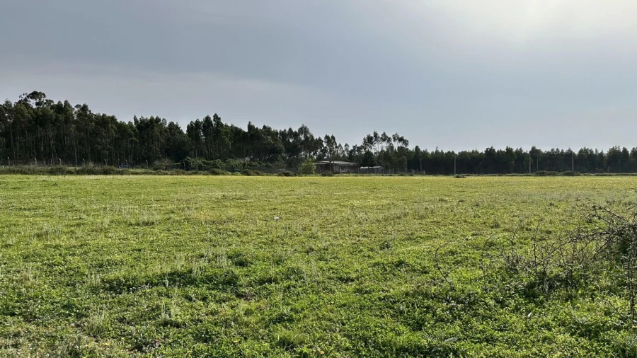 Terreno para Venda em Maxial e Monte Redondo Foto 25