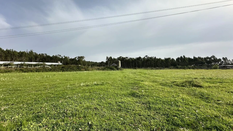 Terreno para Venda em Maxial e Monte Redondo Foto 28