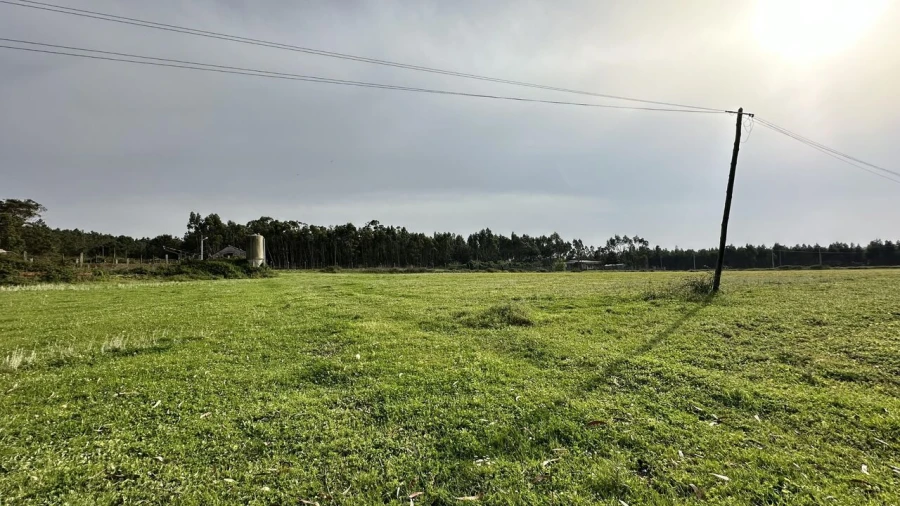 Terreno para Venda em Maxial e Monte Redondo Foto 29