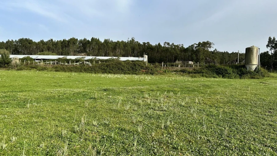 Terreno para Venda em Maxial e Monte Redondo Foto 33