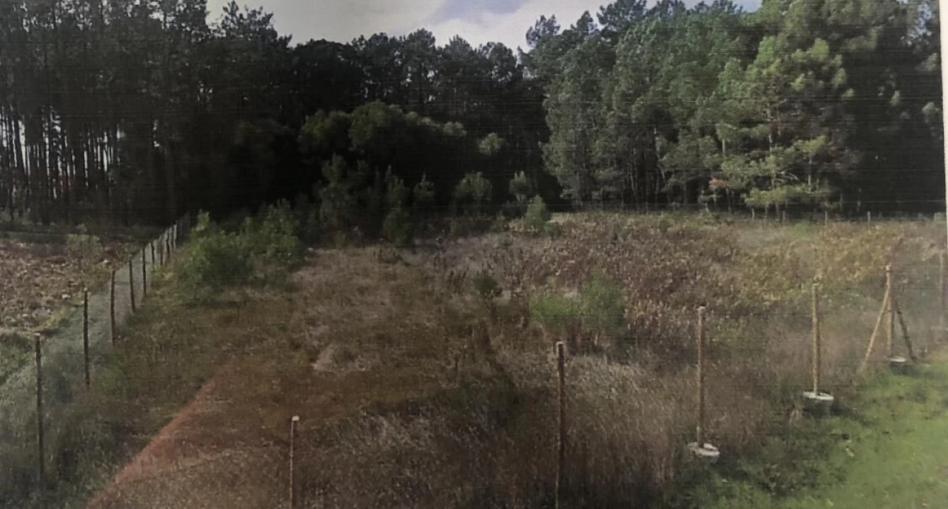 Terreno para Venda em Pataias e Martingança Foto 4