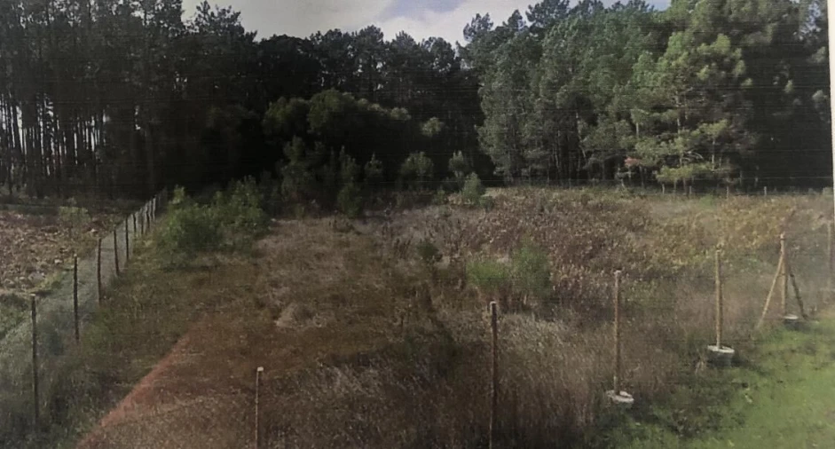 Terreno para Venda em Pataias e Martingança Foto 4