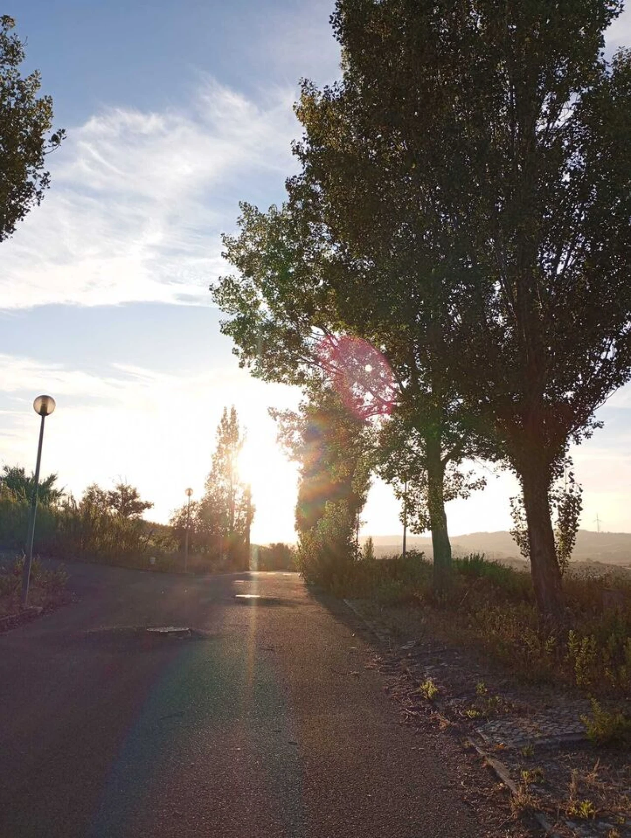 Terreno para Venda em Carvoeira e Carmões Foto 4
