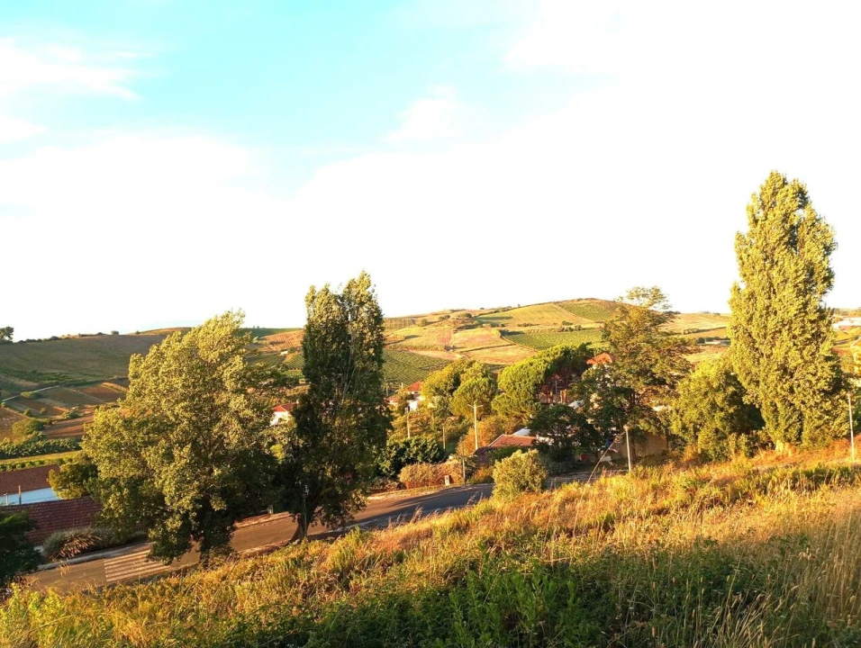 Terreno para Venda em Carvoeira e Carmões Foto 5